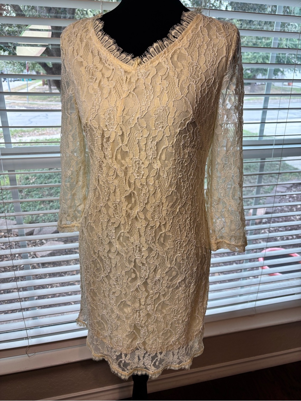 Banana USA NWT Elegant Ivory Lace V-Neck Sheath Dress